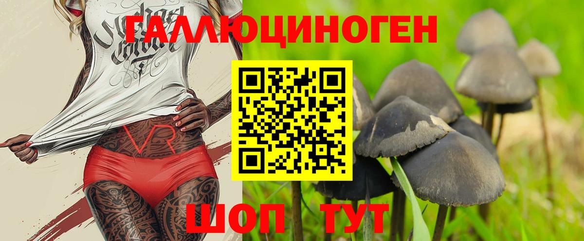 Заринск  наркошоп  Вход с VPN  Псилоцибиновые грибы MAGIC MUSHROOMS 